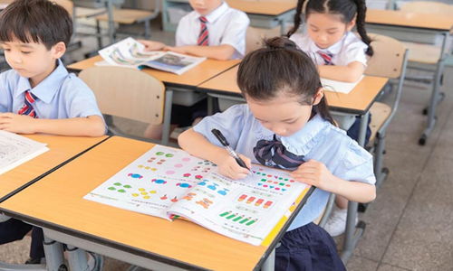 天津市宣德教育信息咨詢深度解析 服務(wù)、特色與市場口碑